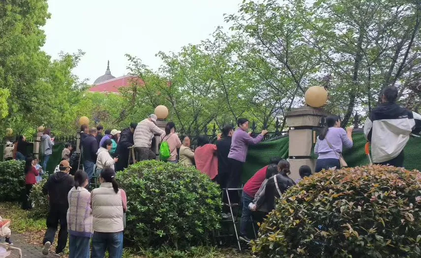 今天萧山体育中考考场外,爬墙家长差点超过考生!这是给孩子助力还是给压力? 第1张