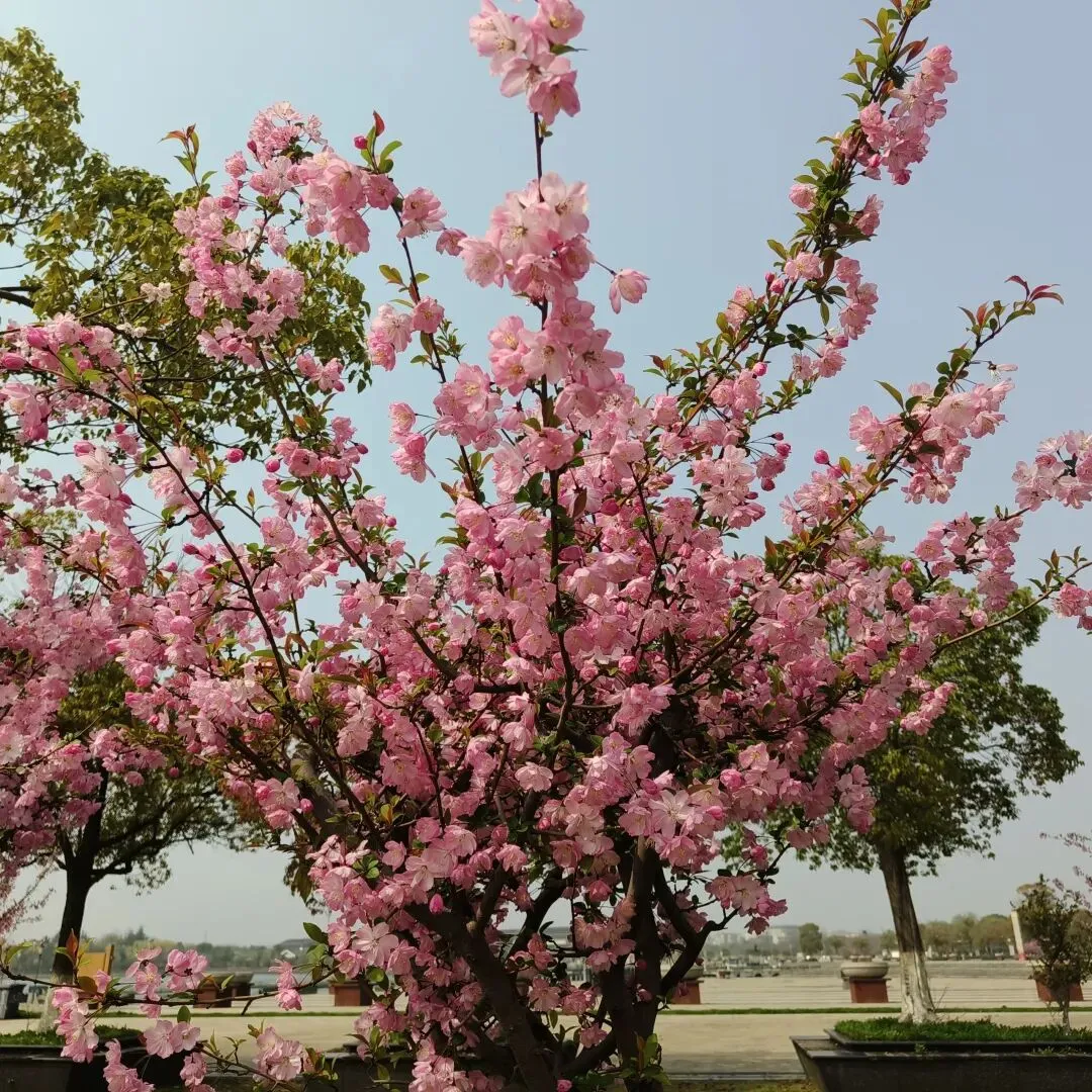 2025年句容市七下期中作文真题及例文:《他(她)让我______》 第1张