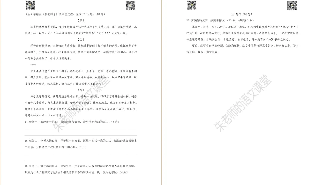 2025年徐州市七年级下册期中语文试卷及答案(电子版) 第6张