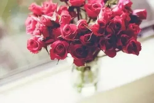 精選新章:《为什么我的高考试卷总是白纸啊?》欣欣【txt结局-新阅】全章节 第3张