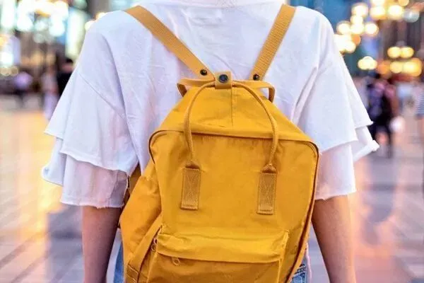 巅峰热文:《为什么我的高考试卷总是白纸啊?》欣欣&全篇-大结局阅读 第8张