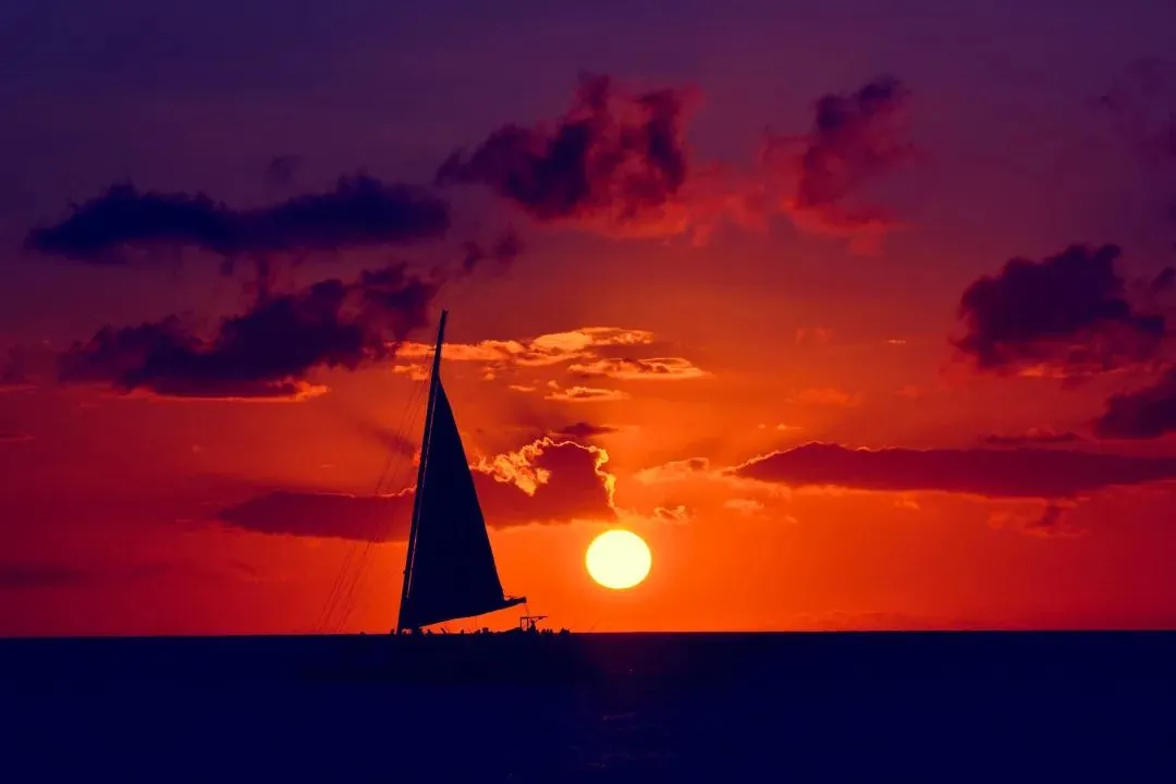 巅峰热文:《为什么我的高考试卷总是白纸啊?》欣欣&全篇-大结局阅读 第9张