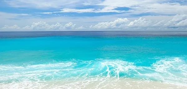 巅峰热文:《为什么我的高考试卷总是白纸啊?》欣欣&全篇-大结局阅读 第13张