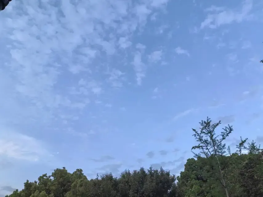 2026中考知识点小卡片 第86张 2026中考知识点小卡片 第86张