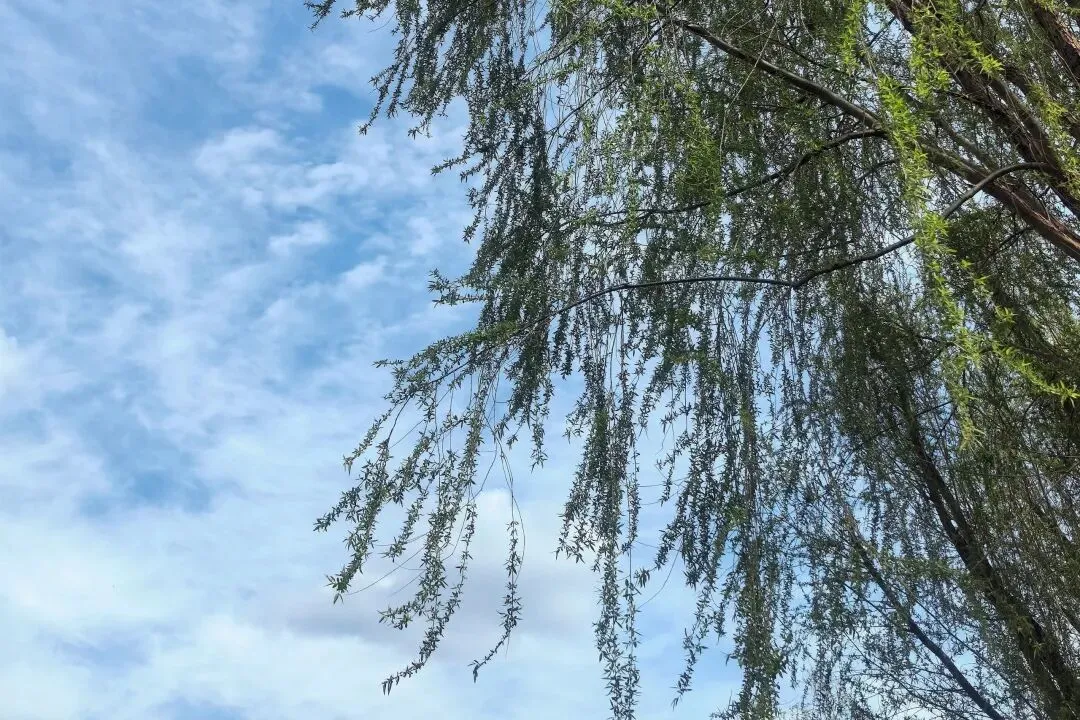 成都中考拿到指标到校,到底要不要放弃?这篇说透了 第1张