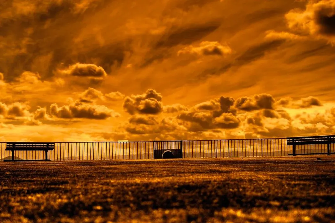 大神强推:欣欣《为什么我的高考试卷总是白纸啊?》&全篇-大结局阅读 第1张