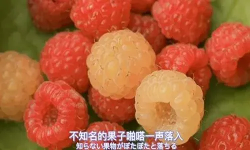 大神强推:欣欣《为什么我的高考试卷总是白纸啊?》&全篇-大结局阅读 第3张