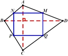 【中考必会几何模型】中点四边形 第11张