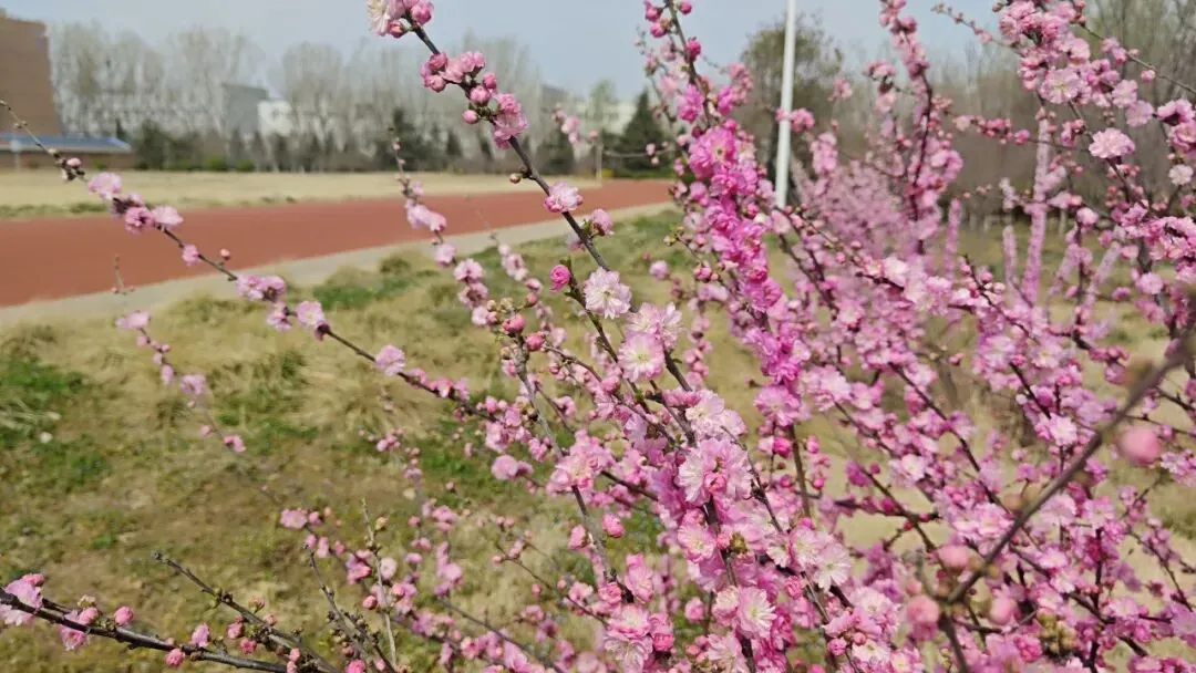 烟台2026中考家长必看:考不上普高,选学校千万别等出分!现在就该行动 第13张