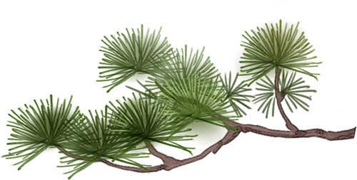 【总第70期】乌鲁木齐二模试卷研习系列——文言文分析 第27张