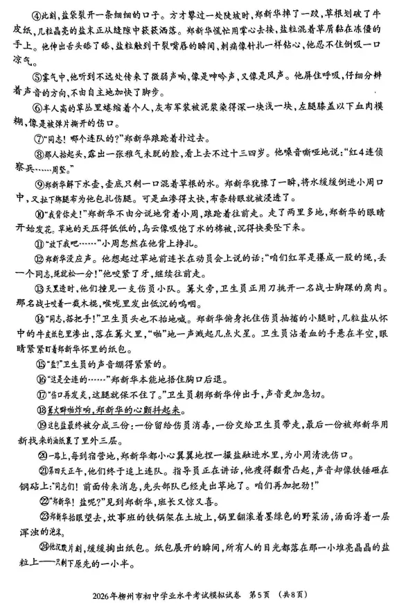 2026年柳州市初中学业水平考试模拟试卷-语文(初三中考市一模) 第7张
