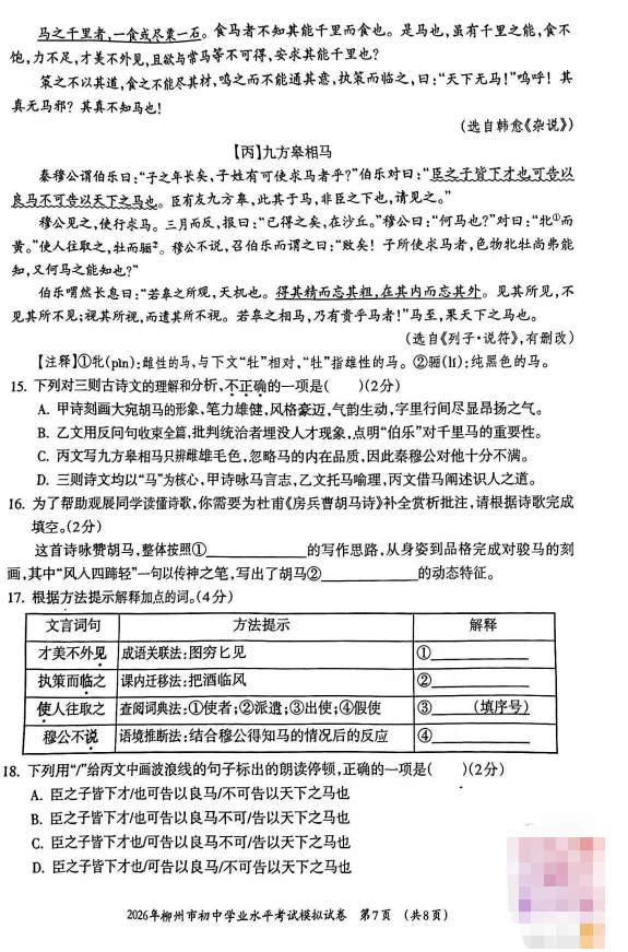 2026年柳州市初中学业水平考试模拟试卷-语文(初三中考市一模) 第9张