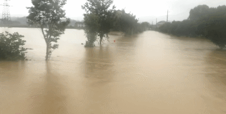 中考第一天遇暴雨 消防用“皮划艇”送考生赶考 第3张