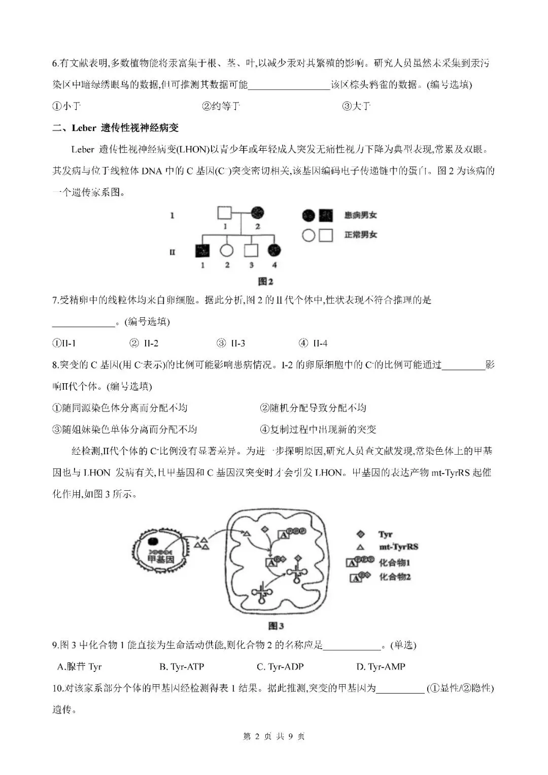 2026届上海市闵行区高三二模生物试卷(含答案) 第2张