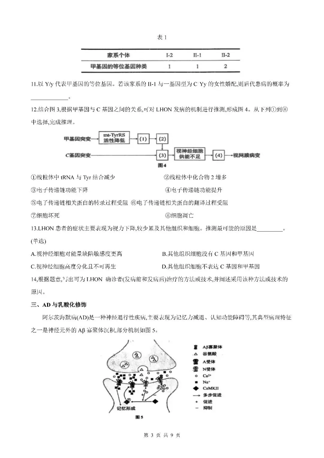 2026届上海市闵行区高三二模生物试卷(含答案) 第3张