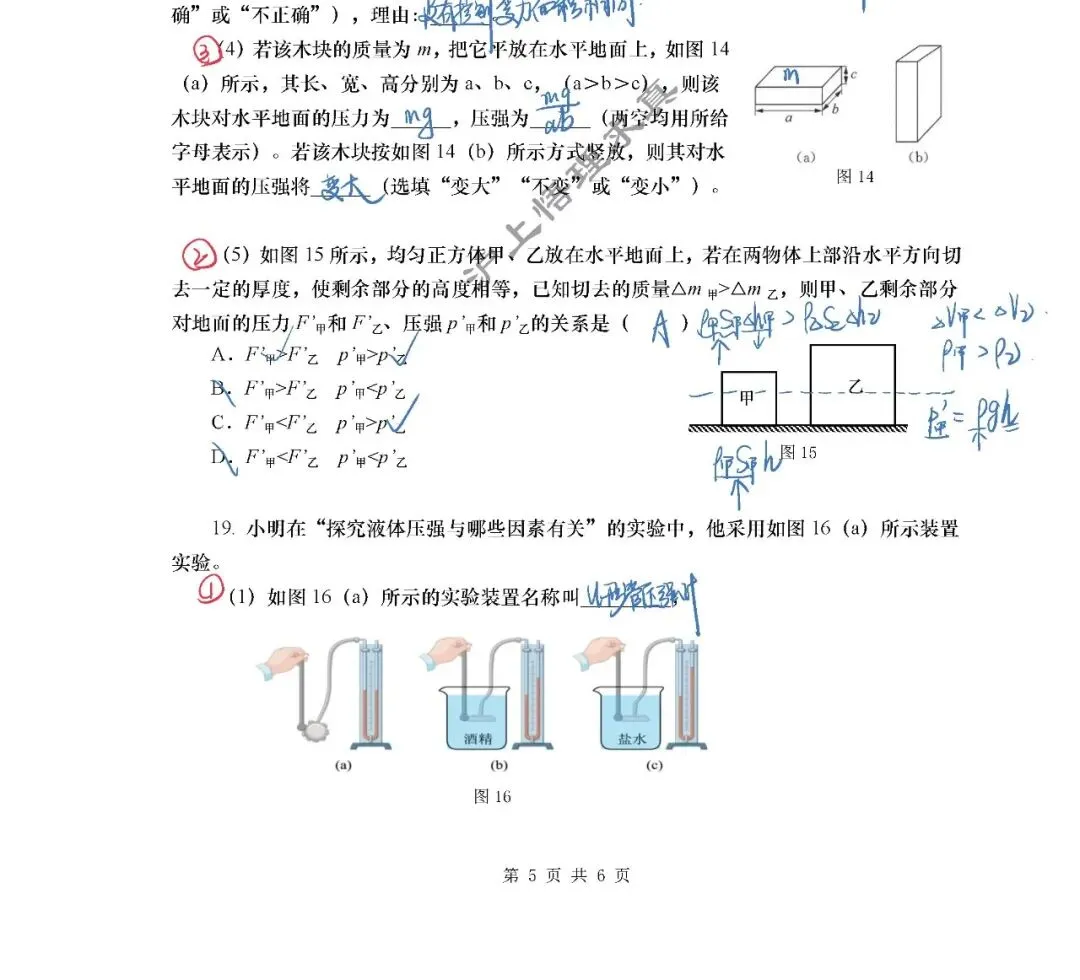 八年级名校真题 | 2025年上海市松江区初级中学九年级第二学期期中 第5张