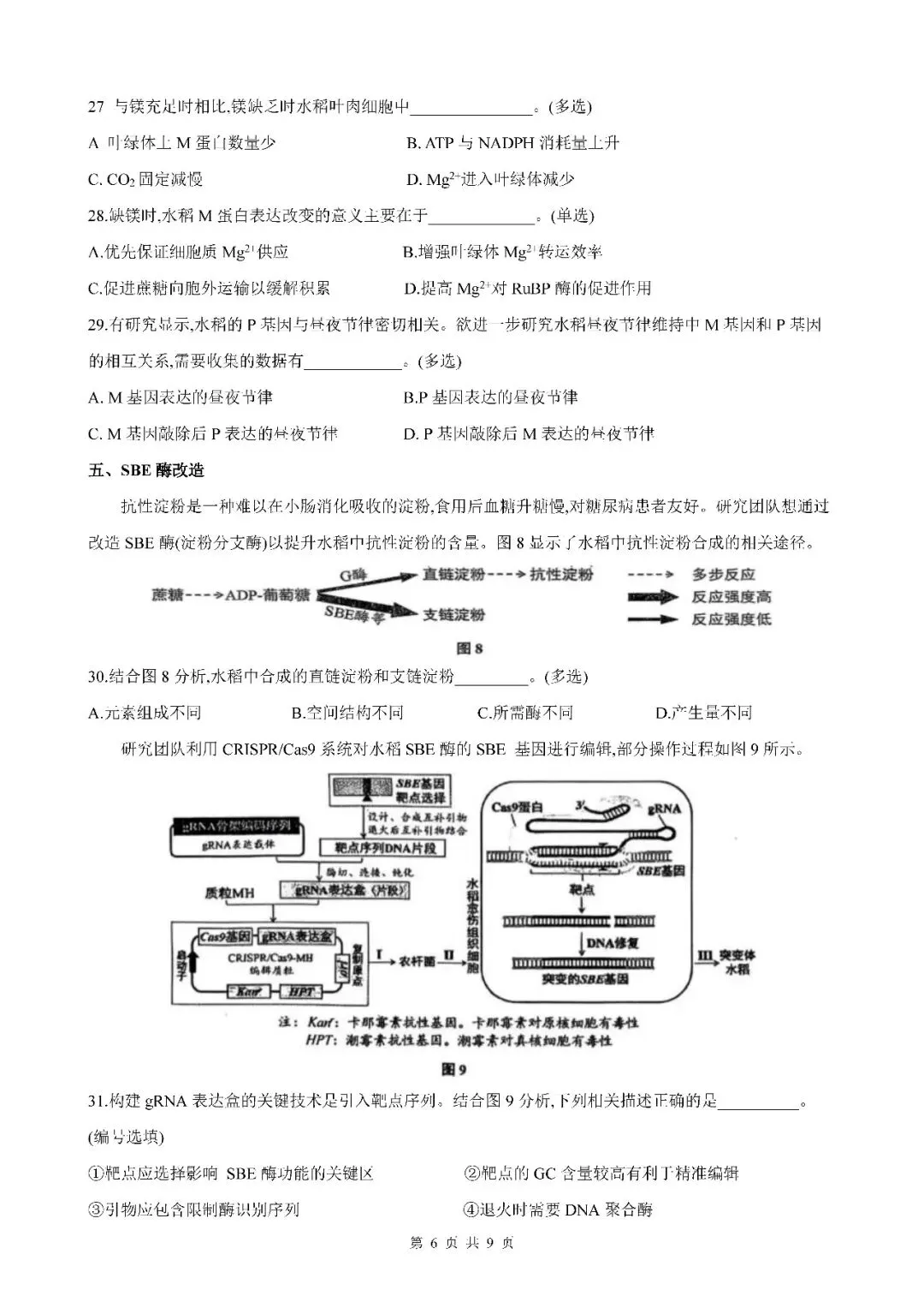 2026届上海市闵行区高三二模生物试卷(含答案) 第6张