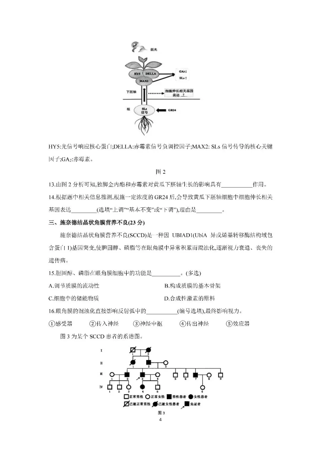 2026届上海市金山区高三二模生物试卷(含答案) 第4张