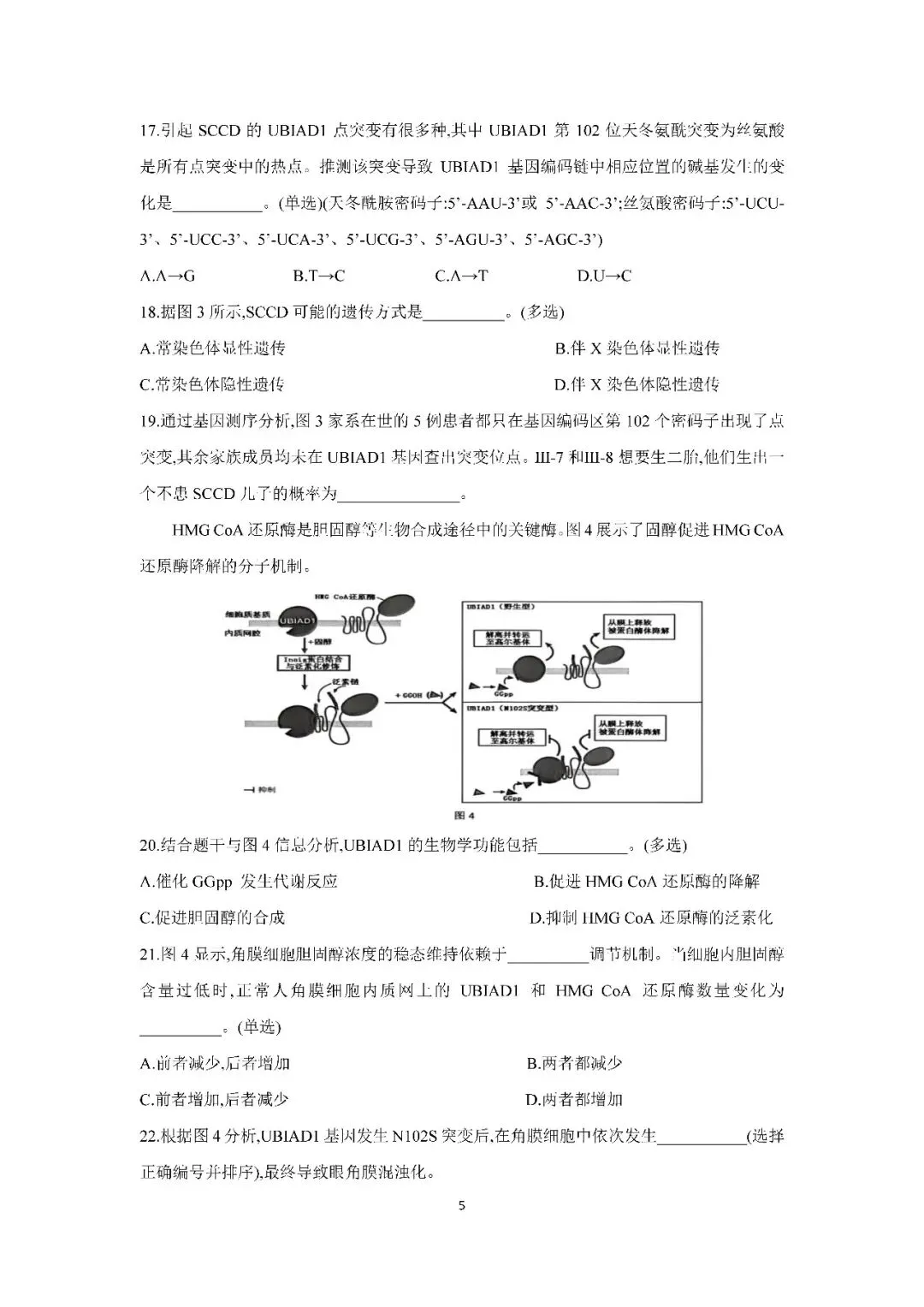 2026届上海市金山区高三二模生物试卷(含答案) 第5张