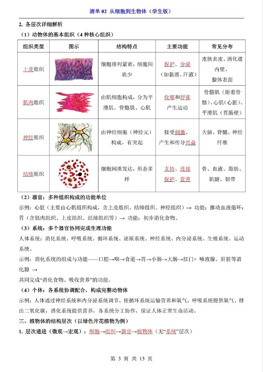 中考生物专题分享-02从细胞到生物体 第3张