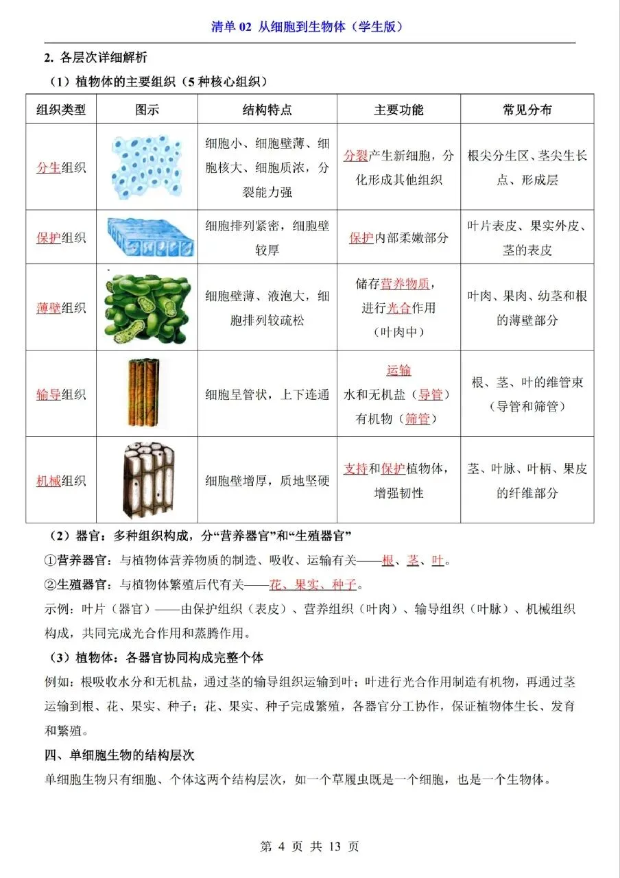 中考生物专题分享-02从细胞到生物体 第4张