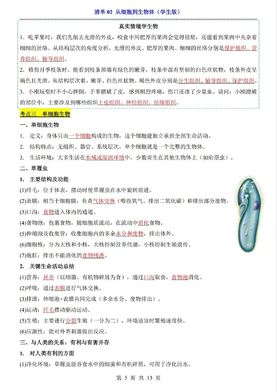 中考生物专题分享-02从细胞到生物体 第5张