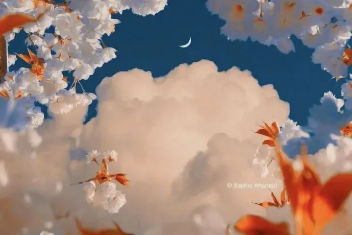 全文結局:《为什么我的高考试卷总是白纸啊?》欣欣txt(全免) 第2张 全文結局:《为什么我的高考试卷总是白纸啊?》欣欣txt(全免) 第2张