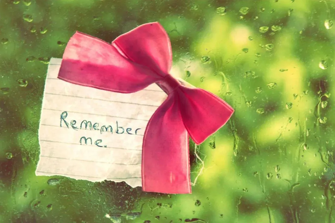 全文結局:《为什么我的高考试卷总是白纸啊?》欣欣txt(全免) 第4张 全文結局:《为什么我的高考试卷总是白纸啊?》欣欣txt(全免) 第4张