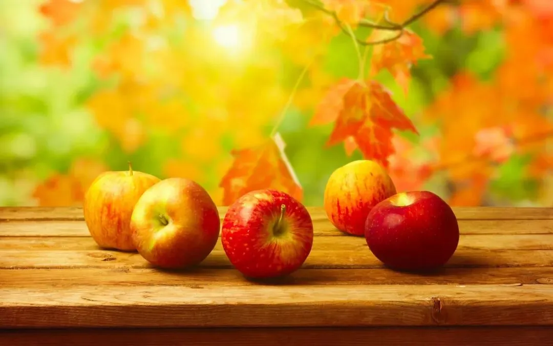 全文結局:《为什么我的高考试卷总是白纸啊?》欣欣txt(全免) 第6张 全文結局:《为什么我的高考试卷总是白纸啊?》欣欣txt(全免) 第6张