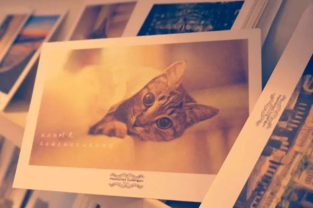 全文結局:《为什么我的高考试卷总是白纸啊?》欣欣txt(全免) 第8张 全文結局:《为什么我的高考试卷总是白纸啊?》欣欣txt(全免) 第8张