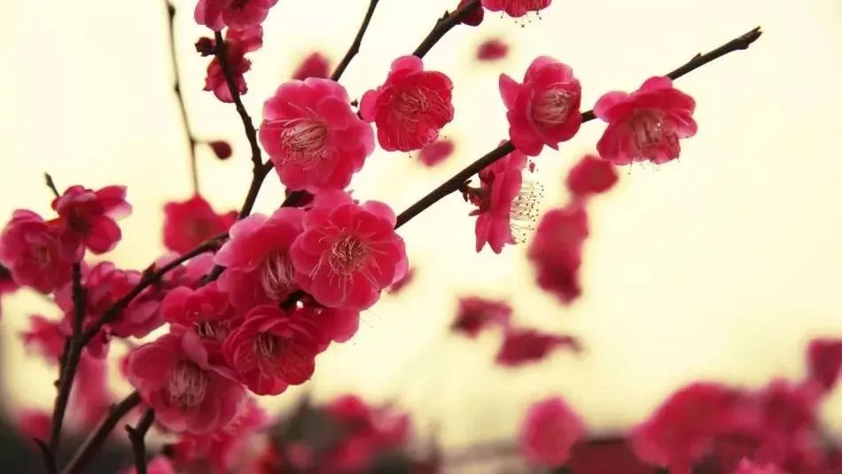 全文結局:《为什么我的高考试卷总是白纸啊?》欣欣txt(全免) 第10张 全文結局:《为什么我的高考试卷总是白纸啊?》欣欣txt(全免) 第10张