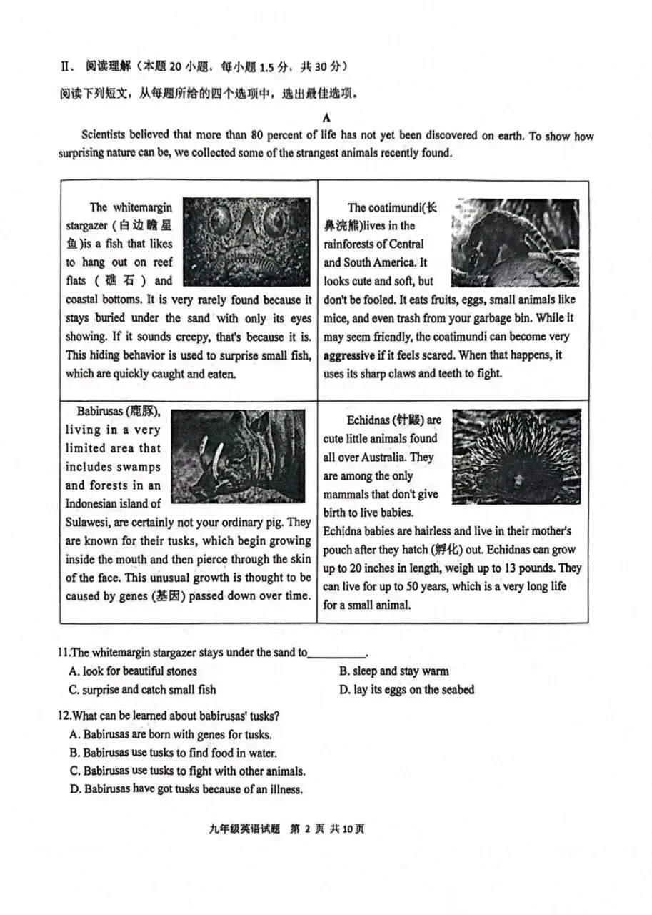 备战中考|202604市南区九年级一模英语试题赏析 第2张