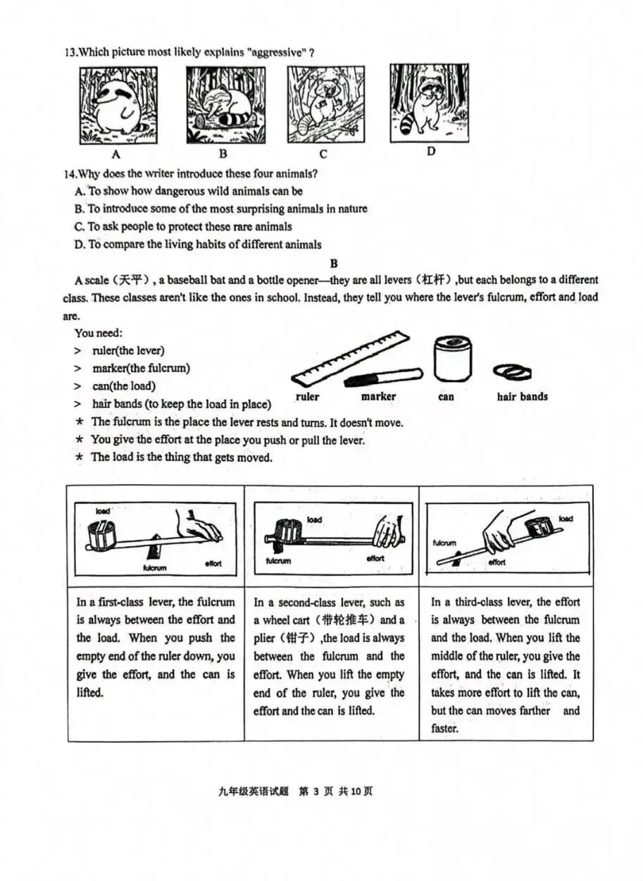 备战中考|202604市南区九年级一模英语试题赏析 第3张