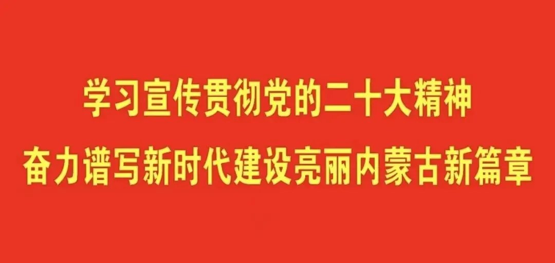 【教研教学】阿巴嘎旗中学初三第一次模拟考试分析暨后续复习备考计划 第18张