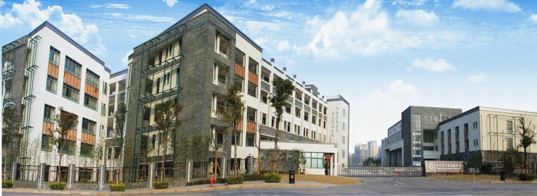 八十天砺剑逐梦,少年志决胜中考——杭州市丁兰实验中学2026届誓师大会圆满举行 第45张