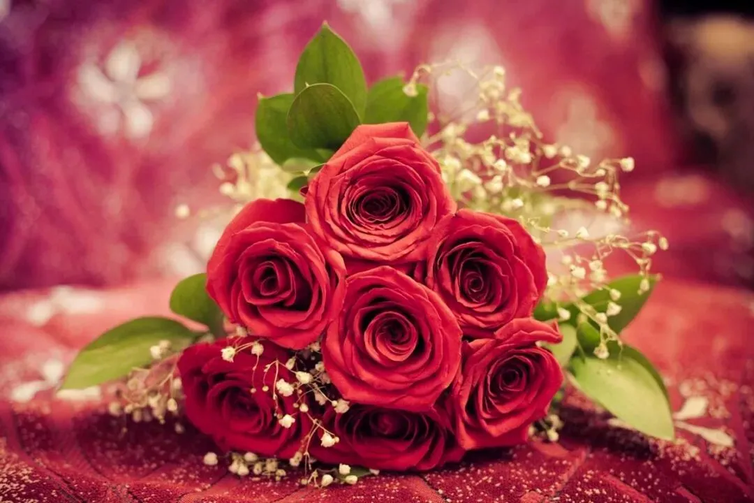 首榜精选:《为什么我的高考试卷总是白纸啊?》欣欣【txt阅读】免费 第7张 首榜精选:《为什么我的高考试卷总是白纸啊?》欣欣【txt阅读】免费 第7张