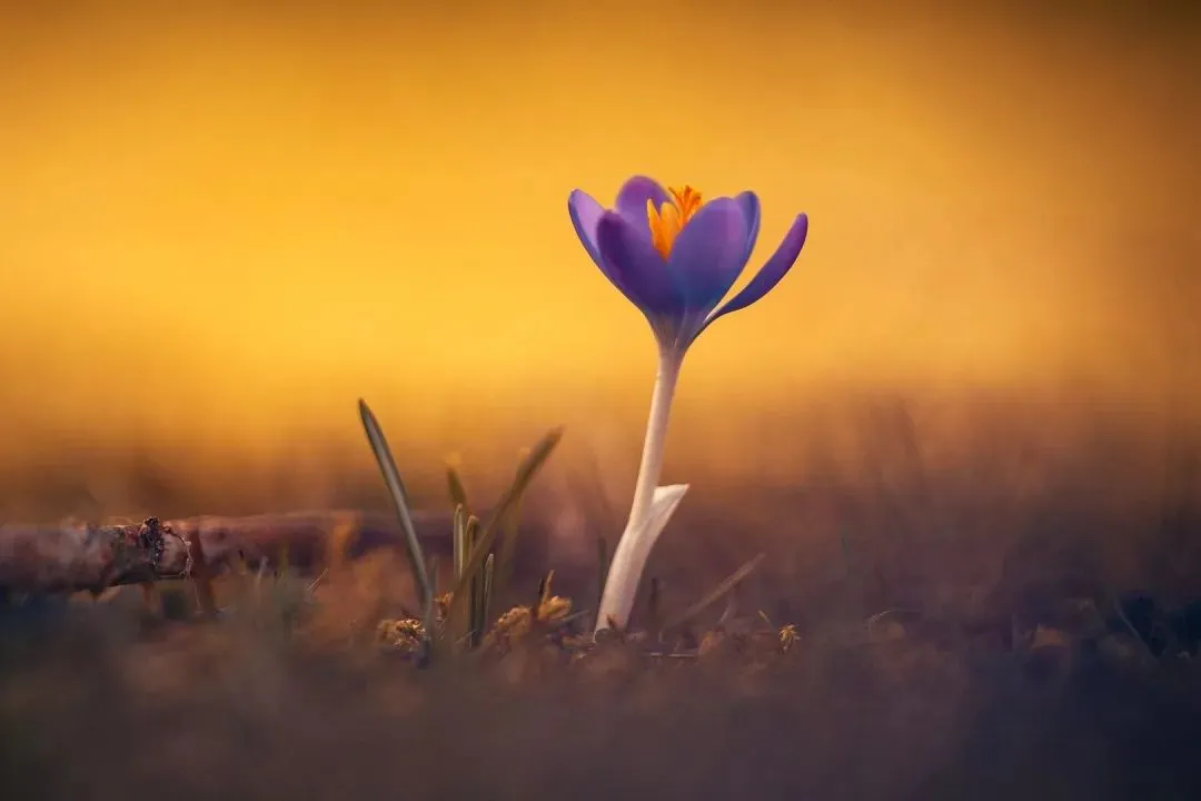 首榜精选:《为什么我的高考试卷总是白纸啊?》欣欣【txt阅读】免费 第8张 首榜精选:《为什么我的高考试卷总是白纸啊?》欣欣【txt阅读】免费 第8张