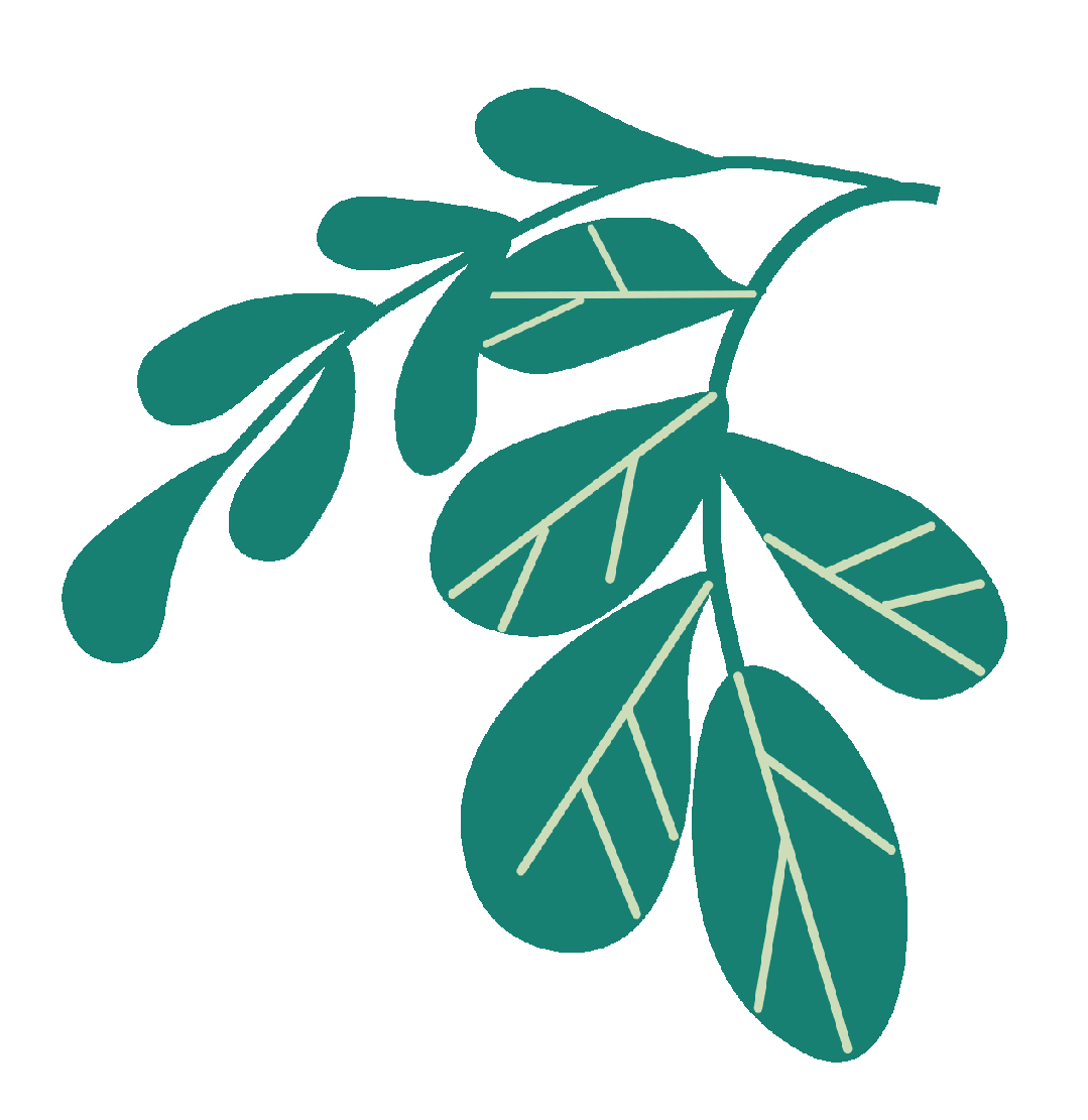 行走的大李老师:三年级“人物素描”的中考预演 第2张