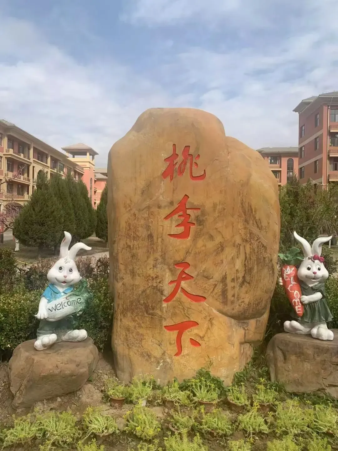 直击课堂:看中考高考如何命题?如何以不变的“真素养”应对万变的新情境 | 一线 第3张