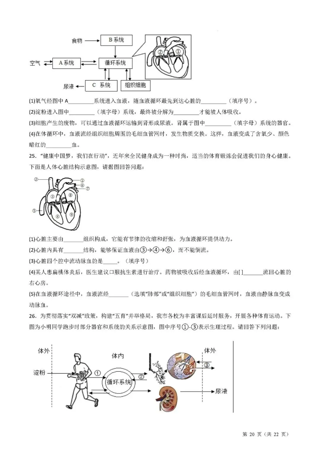备战中考生物考试易错题||易错点06 人体的系统综合 第6张