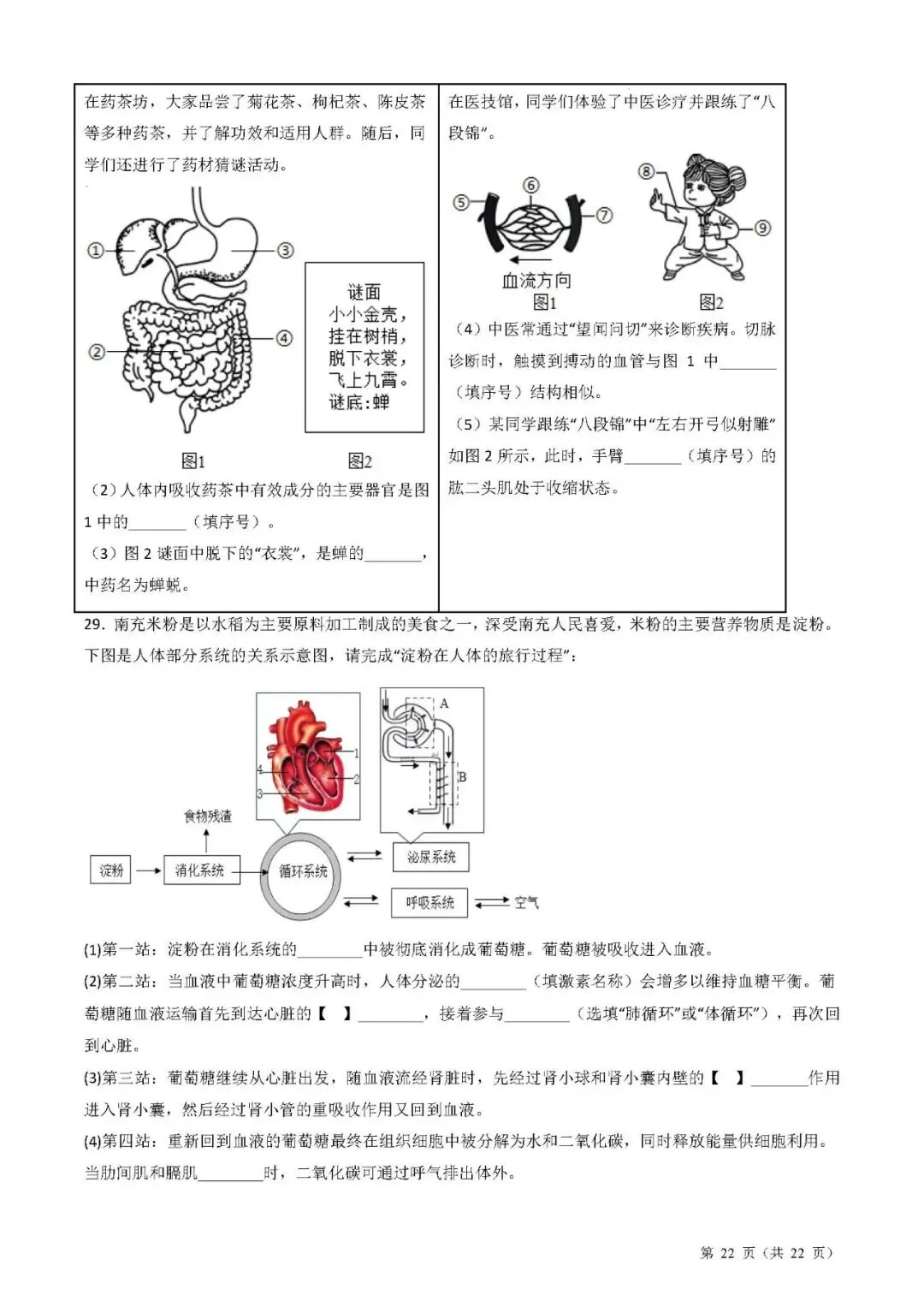 备战中考生物考试易错题||易错点06 人体的系统综合 第8张