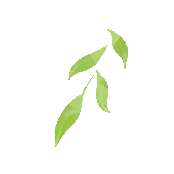 精研中考明方向,聚力备考提质效 ‖2026年青县中考备考研讨会 第11张 精研中考明方向,聚力备考提质效 ‖2026年青县中考备考研讨会 第11张