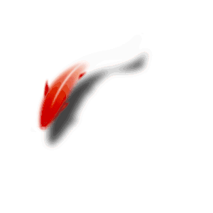 2026许昌市中考体育考前冲刺指导!满分细节+考场技巧,助你稳定发挥! 第16张