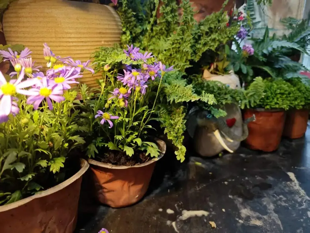 高考英语真题2025年浙江首考卷(阅读D):是 “事物现象阐述型”与“科学研究型”的混合体,而且它的混合方式很有代表性. 第3张