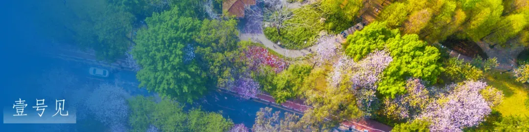 广州中考成绩今日10:30公布!查询方式有3种 第10张