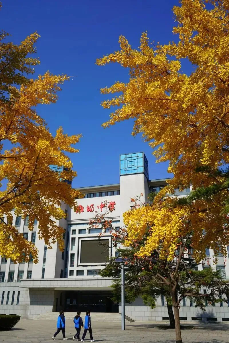 初三一模考前复习全攻略|数/物/英/化学科提分+应试全指南 第3张