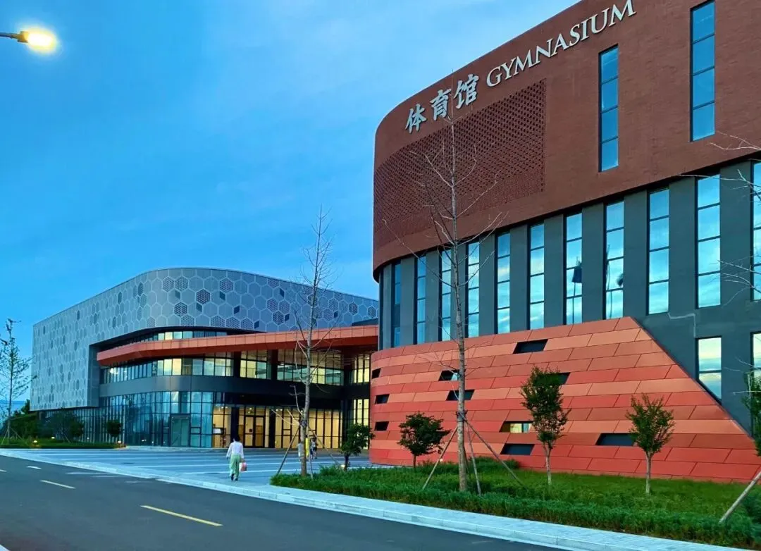 初三一模考前复习全攻略|数/物/英/化学科提分+应试全指南 第4张