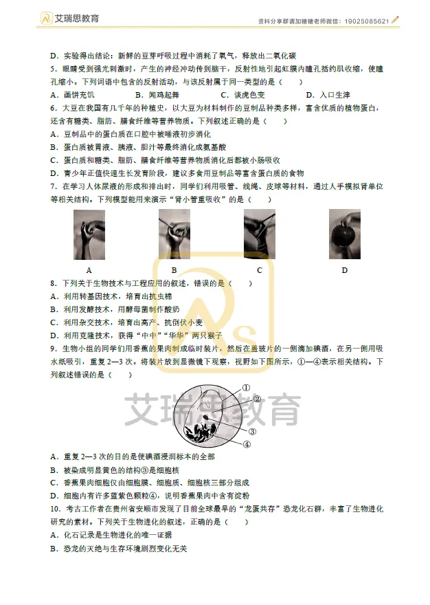 备战中考|近五年徐州地理生物中考真题试卷 第9张