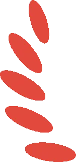 2026山东中考精准押题密卷 禹城新华书店预售开启 第26张