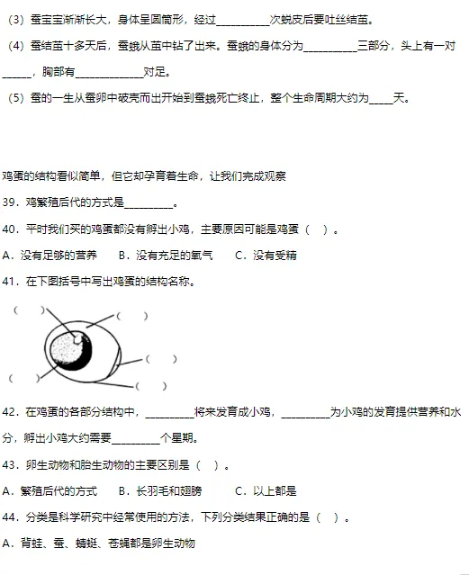 期中试卷:教科版小学科学三年级下册期中综合质量检测卷! 第7张 期中试卷:教科版小学科学三年级下册期中综合质量检测卷! 第7张